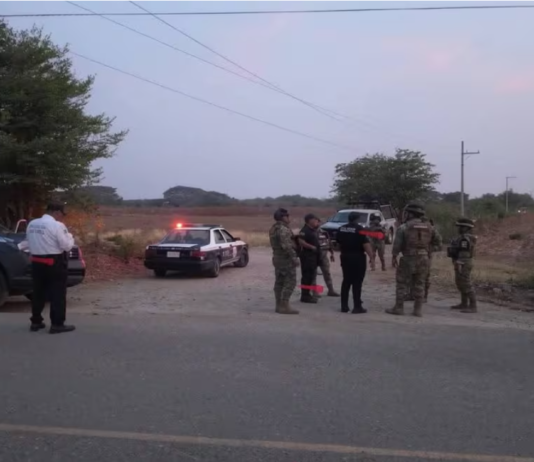 Más cuerpos humanos descuartizados: el infierno del narcoterrorismo en la región del Istmo de Tehuantepec