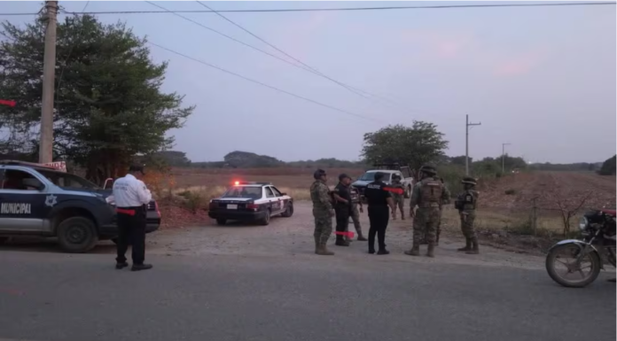 Más cuerpos humanos descuartizados: el infierno del narcoterrorismo en la región del Istmo de Tehuantepec
