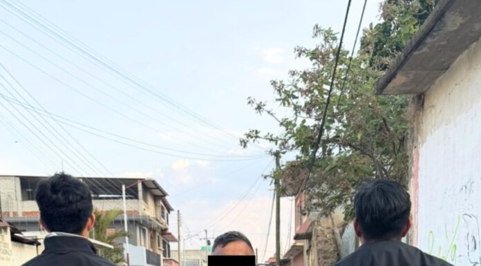 Asegura Fiscalía de Oaxaca aves exóticas, un vehículo y presuntas dosis de droga; una persona detenida en Ocotlán de Morelos