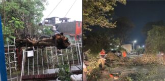 Protección Civil de Oaxaca de Juárez atiende los reportes de vecinas y vecinos en diferentes zonas de la capital tras la lluvia de esta tarde