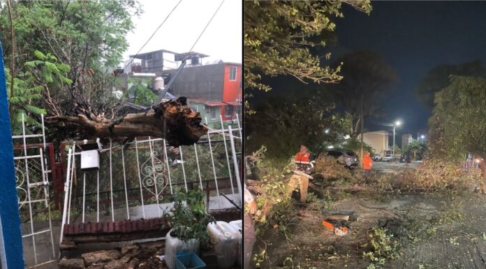 Protección Civil de Oaxaca de Juárez atiende los reportes de vecinas y vecinos en diferentes zonas de la capital tras la lluvia de esta tarde