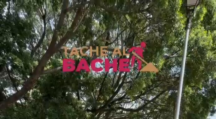 El programa Tache al Bache continúa dando resultados.