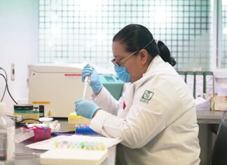 Investigación en el IMSS dentro del top 10 en América Latina; avanza desarrollo de patentes y publicaciones científicas