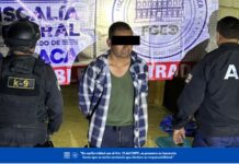 Fiscalía de Oaxaca ejecuta cateo en Santa María Peñoles; asegura armas de fuego, presuntas drogas y detiene a una persona
