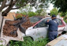 Operativo “Calle Libre y Segura” permite fortalecer la seguridad vial