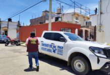 Municipio de Oaxaca de Juárez atiende denuncia por presunto maltrato animal