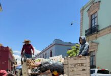 Refuerzan limpieza en el Zócalo y la Alameda de León
