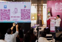 Nace Bina, la App digital para aprender palabras en lenguas originarias