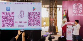 Nace Bina, la App digital para aprender palabras en lenguas originarias