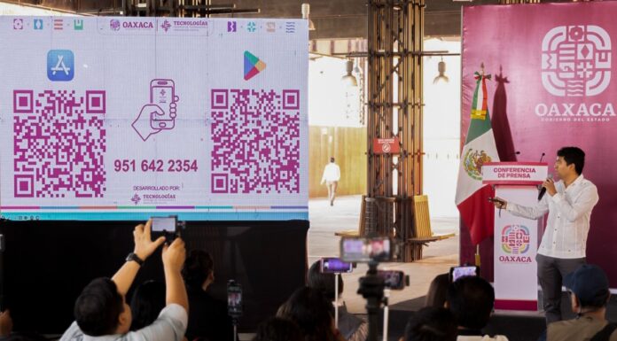 Nace Bina, la App digital para aprender palabras en lenguas originarias