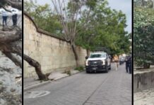 Protección Civil de Oaxaca de Juárez atiende reporte de árboles caídos