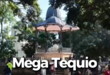 Vecinas, vecinos, trabajadores municipales y voluntariado participaron en el Mega Tequio realizado en el Zócalo, la Alameda de León y calles aledañas