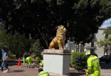 Realiza Ayuntamiento trabajos de mantenimiento y rehabilitación en el Parque Juárez El Llano