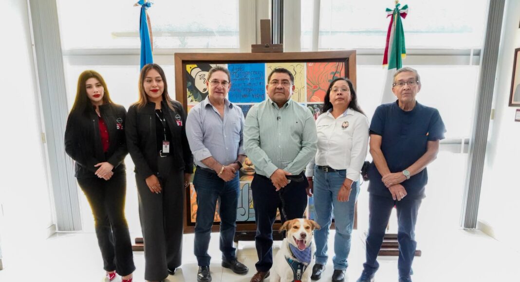 UABJO Y NISSAN OAXACA IMPULSAN PERRUCHÓN 2026 POR EL BIENESTAR ANIMAL