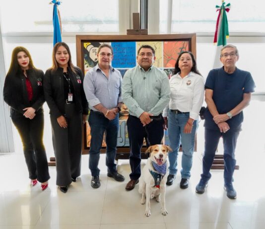 UABJO Y NISSAN OAXACA IMPULSAN PERRUCHÓN 2026 POR EL BIENESTAR ANIMAL