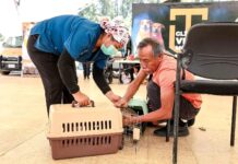 TERCERA JORNADA DEL PERRUCHÓN SE REALIZÓ EN LA VELARIA DE CIUDAD UNIVERSITARIA UABJO