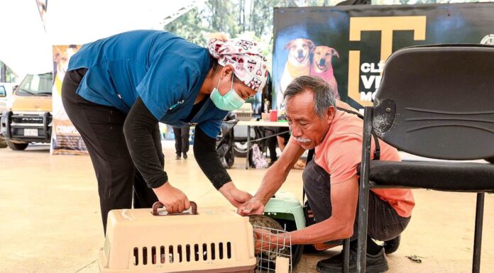 TERCERA JORNADA DEL PERRUCHÓN SE REALIZÓ EN LA VELARIA DE CIUDAD UNIVERSITARIA UABJO
