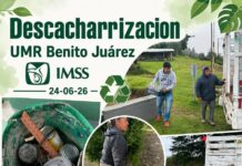 Advierte IMSS Oaxaca que la mejor forma de prevenir el dengue es la descacharrización y patio limpio