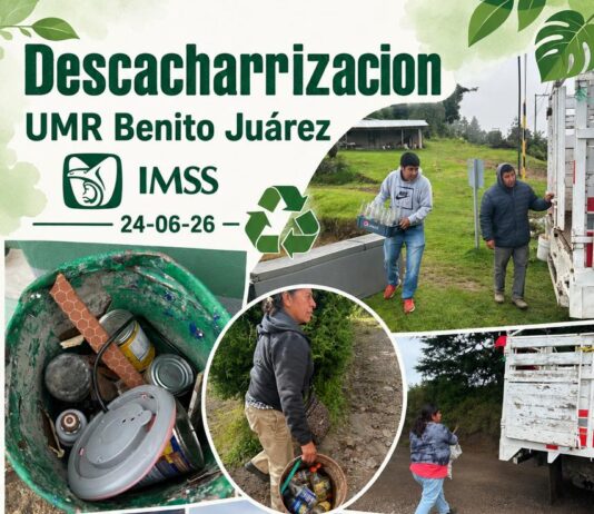 Advierte IMSS Oaxaca que la mejor forma de prevenir el dengue es la descacharrización y patio limpio
