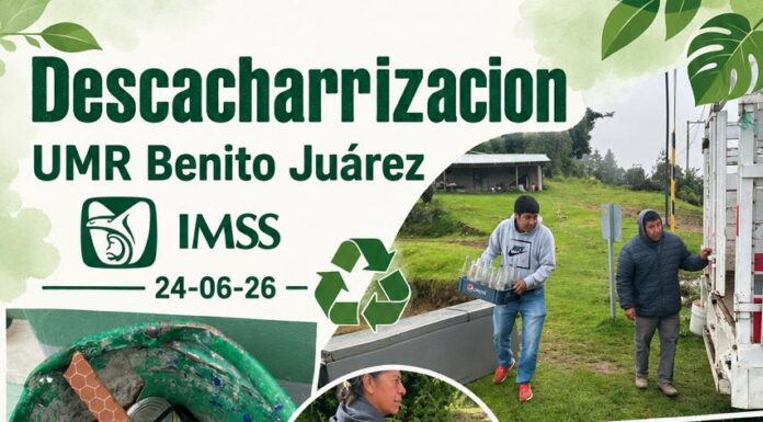 Advierte IMSS Oaxaca que la mejor forma de prevenir el dengue es la descacharrización y patio limpio