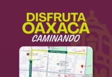 Durante la Guelaguetza, disfruta el Centro Histórico caminando