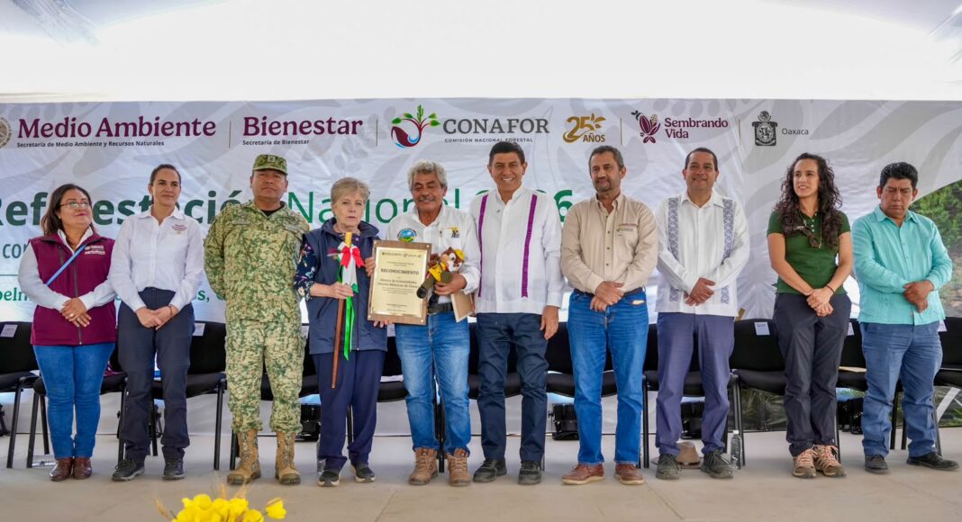 Reiteran Gobiernos de Oaxaca y México compromiso para fortalecer acciones de reforestación en Oaxaca