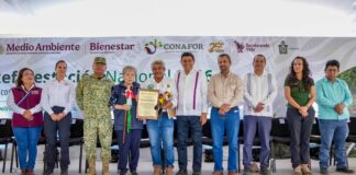 Reiteran Gobiernos de Oaxaca y México compromiso para fortalecer acciones de reforestación en Oaxaca
