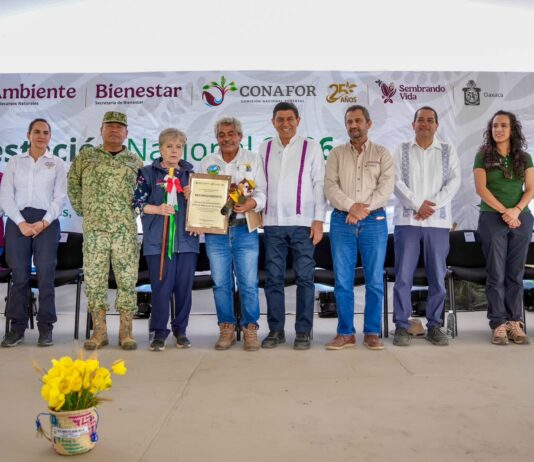 Reiteran Gobiernos de Oaxaca y México compromiso para fortalecer acciones de reforestación en Oaxaca