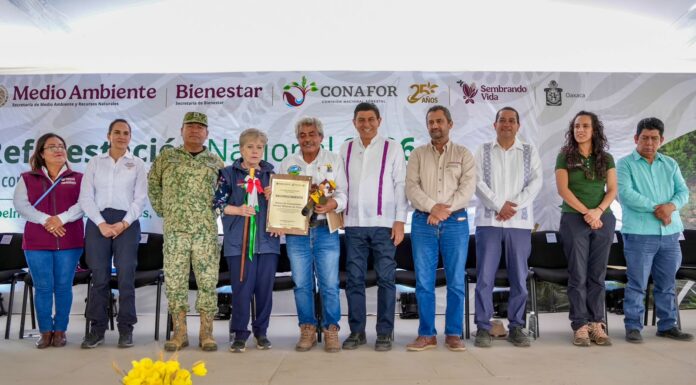 Reiteran Gobiernos de Oaxaca y México compromiso para fortalecer acciones de reforestación en Oaxaca