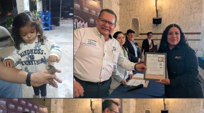 Reconoce IMSS Oaxaca el compromiso empresarial y otorga Distintivos ELSSA
