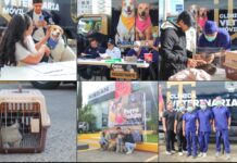 UN ÉXITO PRIMERA JORNADA DEL PERRUCHÓN 2026, ALIANZA UABJO – NISSAN OAXACA