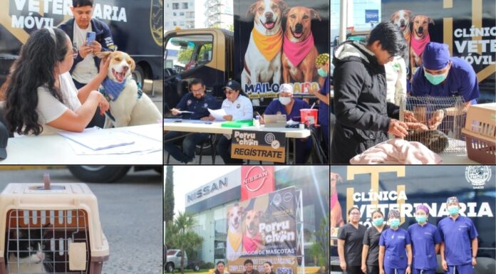 UN ÉXITO PRIMERA JORNADA DEL PERRUCHÓN 2026, ALIANZA UABJO – NISSAN OAXACA