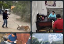 Sanciona Municipio de Oaxaca de Juárez caso de maltrato animal tras denuncia ciudadana