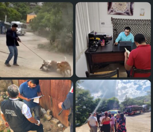 Sanciona Municipio de Oaxaca de Juárez caso de maltrato animal tras denuncia ciudadana