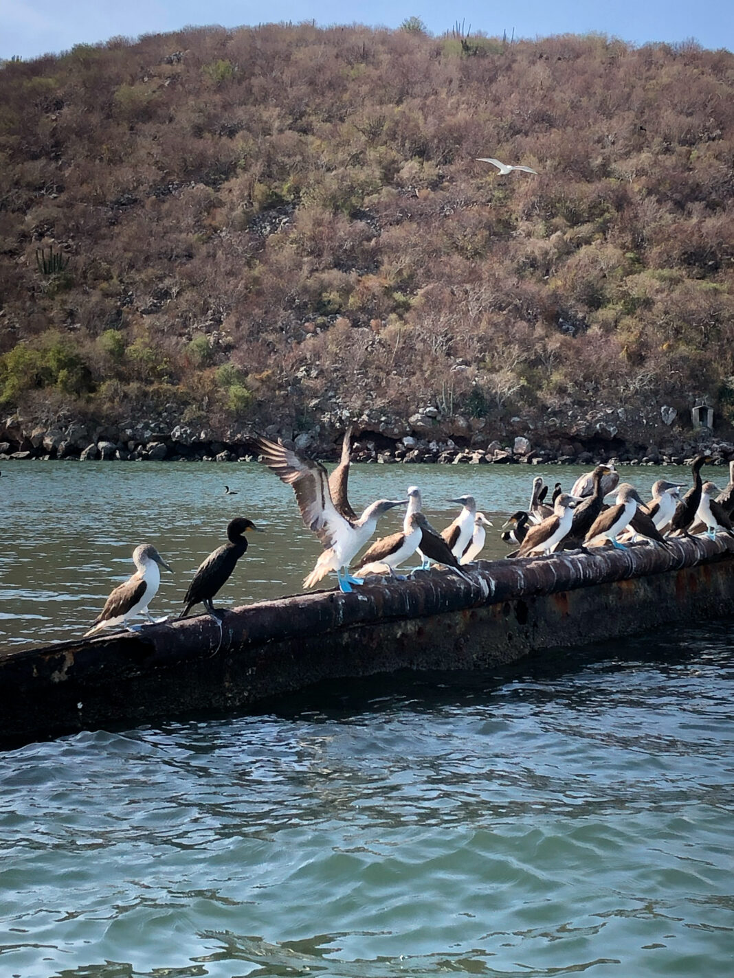 bahía2