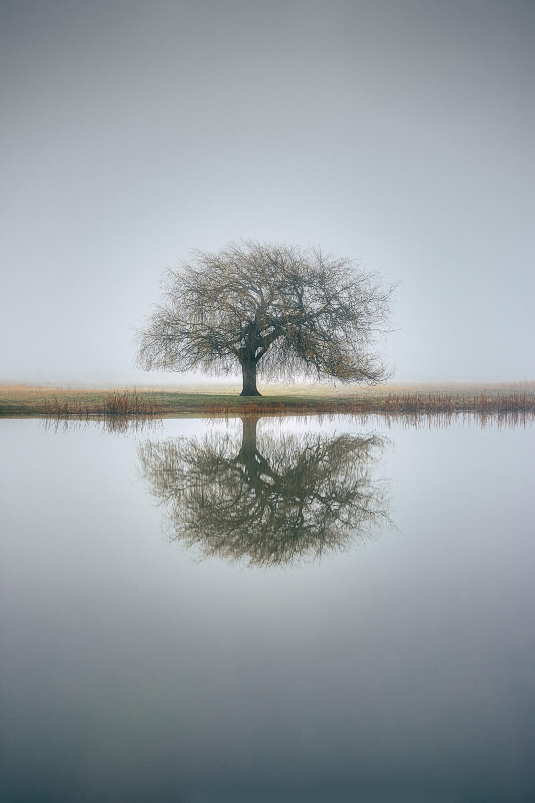 naturaleza