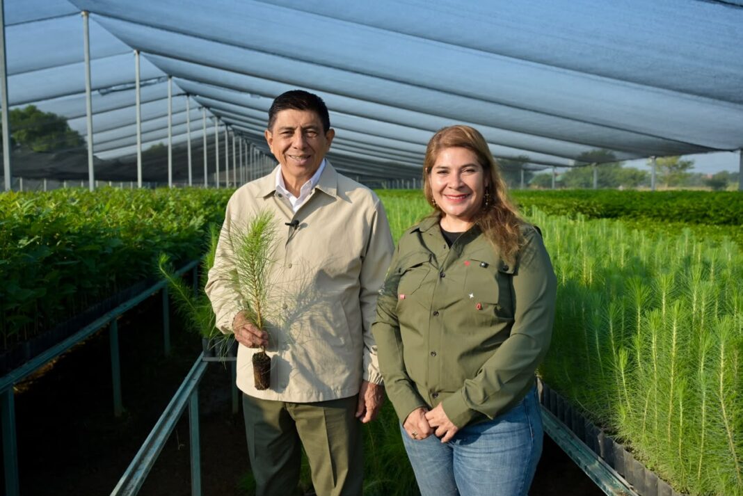 Con compromiso sustentable, Oaxaca hará equipo en la Jornada Nacional de Reforestación 2026 (2)