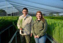 Con compromiso sustentable, Oaxaca hará equipo en la Jornada Nacional de Reforestación 2026