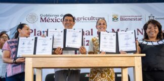 Con entrega de recursos, fortalece Claudia Sheinbaum política de Salomón Jara para protección del maíz nativo en Oaxaca