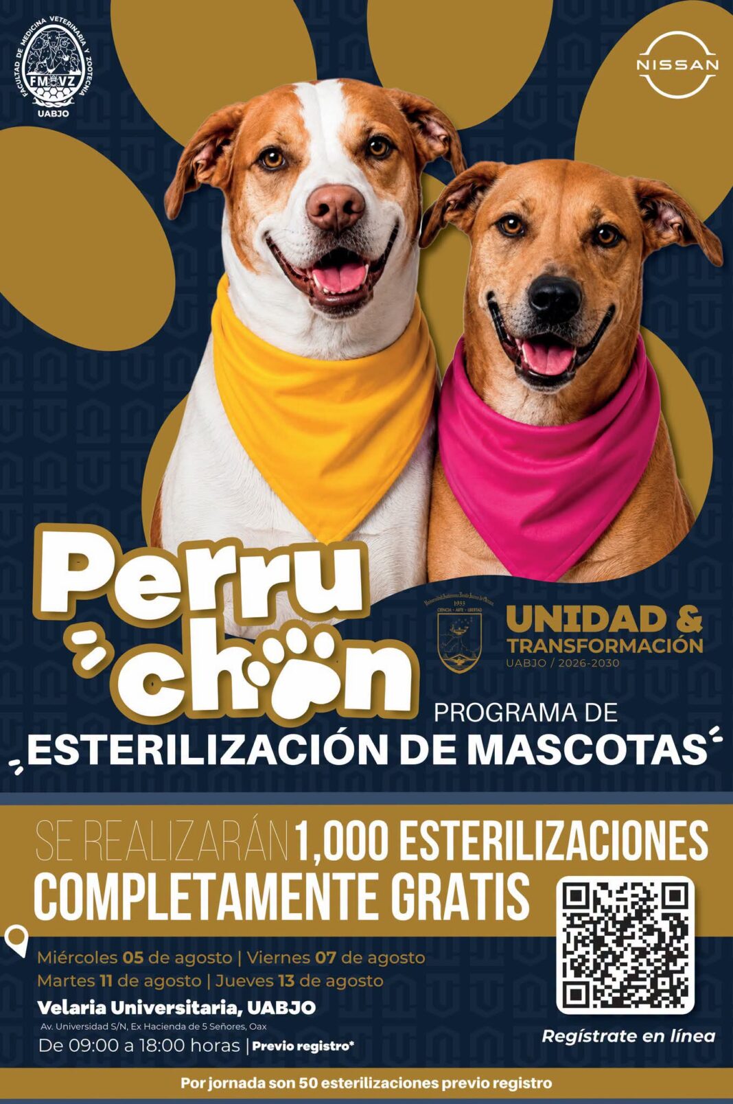 FB_IMG_1785694512478