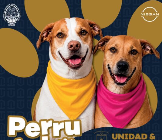 🐾 CONTINÚA NUESTRO PROGRAMA PERRUCHÓN 2026 🐾