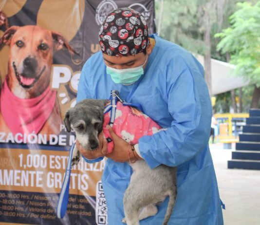 LA UABJO CONTINÚA IMPULSANDO EL BIENESTAR ANIMAL CON LA SEXTA JORNADA PERRUCHÓN