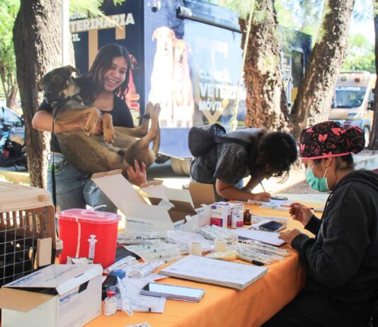 UABJO REALIZA LA OCTAVA JORNADA DE LA CAMPAÑA PERRUCHÓN 2026