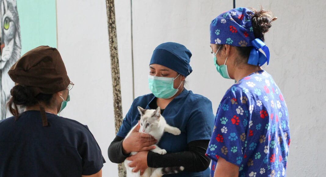 UABJO CONTINÚA SUMANDO ESFUERZOS POR EL BIENESTAR ANIMAL CON LA NOVENA JORNADA PERRUCHÓN 2026