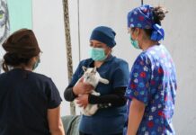 UABJO CONTINÚA SUMANDO ESFUERZOS POR EL BIENESTAR ANIMAL CON LA NOVENA JORNADA PERRUCHÓN 2026