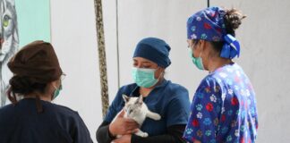 UABJO CONTINÚA SUMANDO ESFUERZOS POR EL BIENESTAR ANIMAL CON LA NOVENA JORNADA PERRUCHÓN 2026