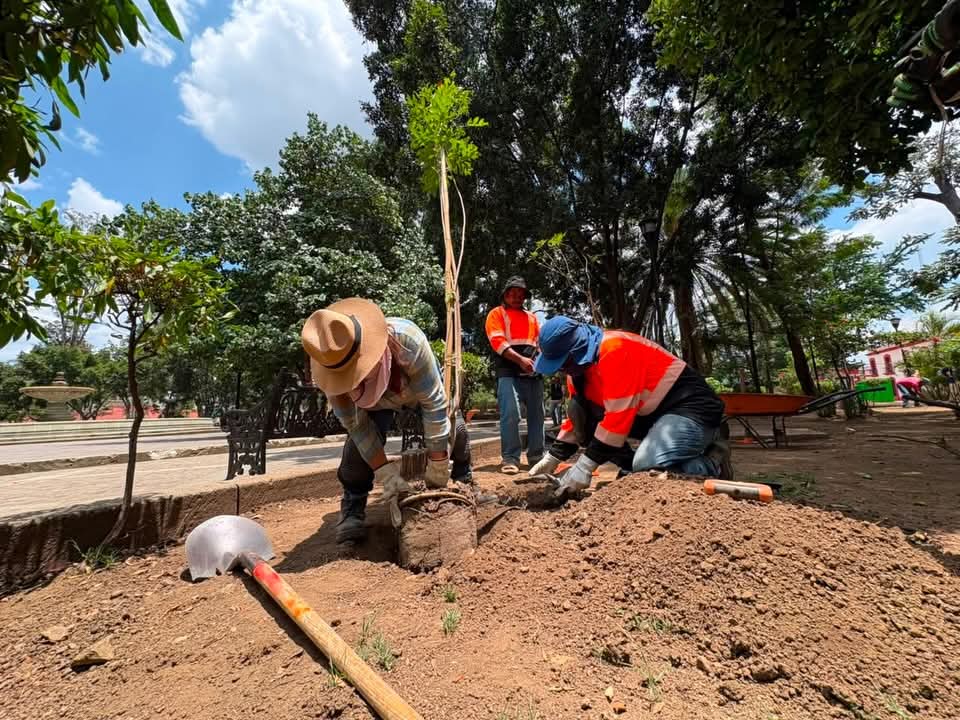 IMG-20260806-WA0032