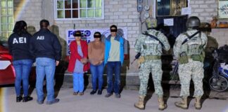 Desarticula Fiscalía de Oaxaca dos presuntos puntos de venta de droga en Ixtlán de Juárez; hay cuatro personas detenidas