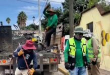 Tache al Bache mejora las condiciones de circulación en Oaxaca de Juárez