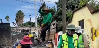 Tache al Bache mejora las condiciones de circulación en Oaxaca de Juárez